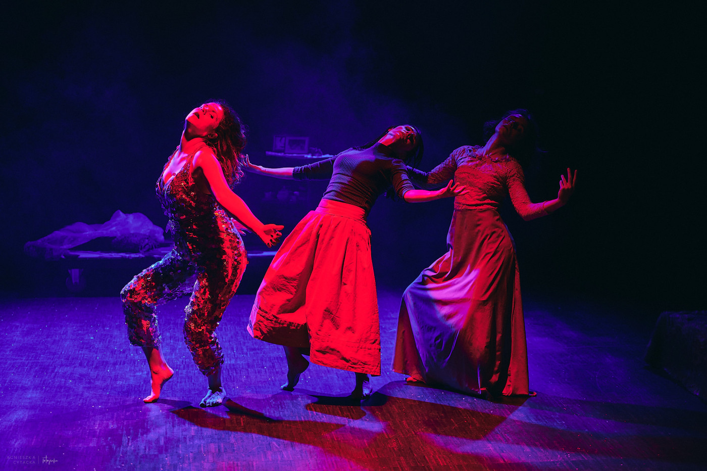 ksiezniczki generalna agnieszka cytacka 10 ScaleWidthWzI4MDBd