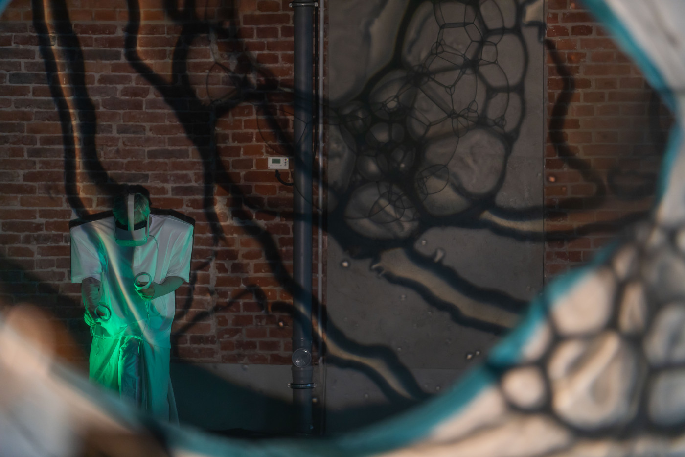 AGORA fot.HOLLYBABA  Rami Shaya 216