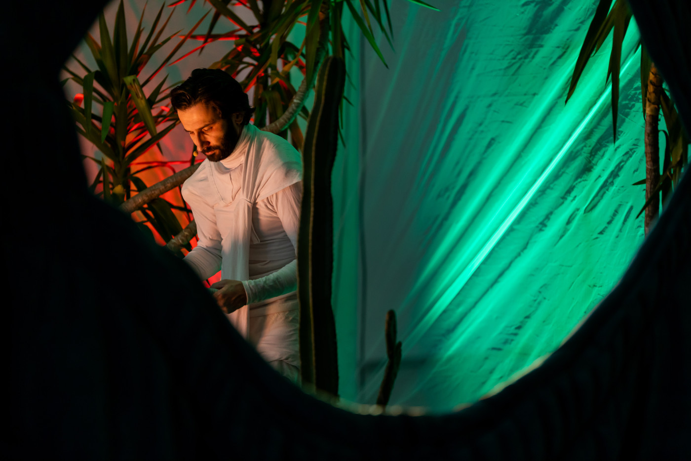 AGORA fot.HOLLYBABA  Rami Shaya 208